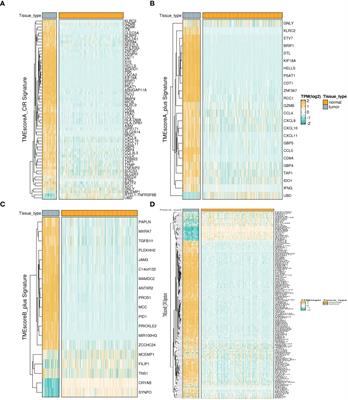 Comprehensive investigation of tumor immune microenvironment and prognostic biomarkers in osteosarcoma through integrated bulk and single-cell transcriptomic analysis